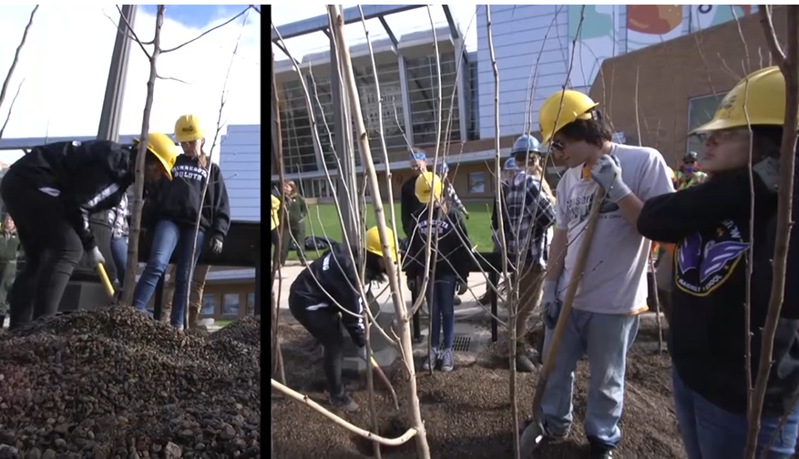 Corps members planting trees in St. Paul