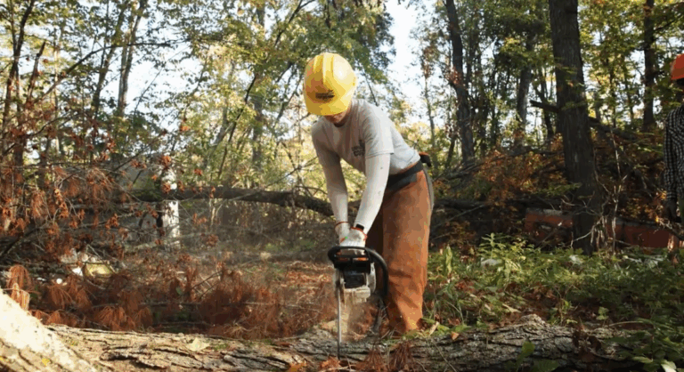 A Conservation Corps member helps clean up downed trees in the Bemidji area